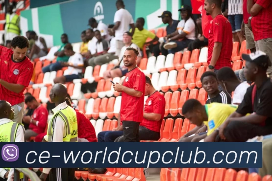 世界杯官方线上平台生态图